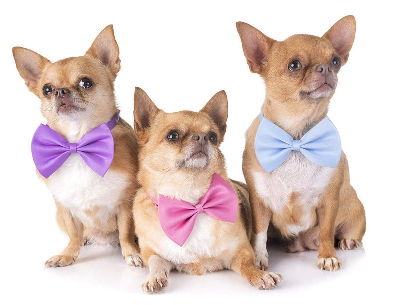 YUEPET 20PCS Pet Dog Bow Ties Collar Adjustable Cat Bow Ties Neck Bows Bulk Pet Bowties Mix 20 Colors Solid Pet Collars Accessories for Small Medium Dog Cat Pets Christmas Birthday Holiday Photography - Image 5